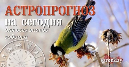 Рыбы, ищите компромисс, Весам лучше отойти от суеты, а Львам стоит продумать первые траты года