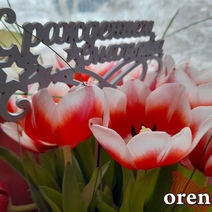 В октябре в перинатальном центре Оренбурга появились на свет 12 двойняшек 