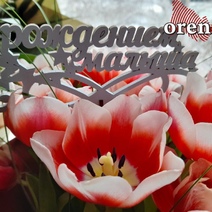 В оренбургских роддомах новорожденных одаривают альбомами. А в поездах?