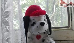 Пока в Орске 12 лет искали пропавшую мать, она вышла замуж и благополучно жила в Самаре