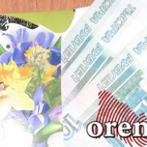 Глава сельсовета в Сакмарском районе незаконно разжилась на 500 000 рублей