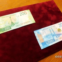 В Оренбуржье экс-директор Центра занятости лишилась свободы за мошенничество