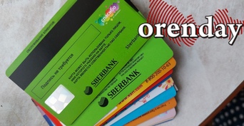 Житель Оренбуржья может иметь отношение к краже более 59 миллионов рублей у директора столичного ВУЗа