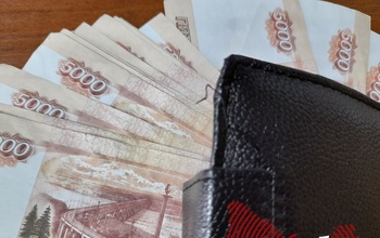 Житель Матвеевского района оказался причастен к делу о хищении крупной суммы у директора московского ВУЗа