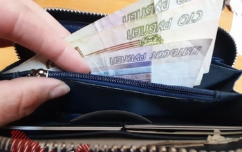 Оренбурженка купила мальтипу за 180 000, но осталась и без денег, и без компаньона