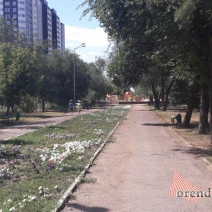 В Оренбург придет долгожданная летняя жара