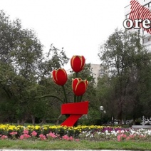 Оренбуржцы смогут выбрать лучший цветник в городе