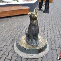 Ситуация с бродячими псами в Оренбуржье зашла в тупик: неужели вернут отстрел