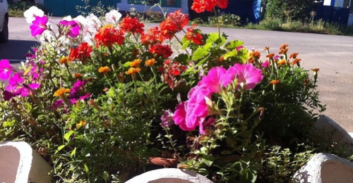 8,2 миллиона на цветы: на набережной Урала установят кашпо с автополивом