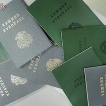 В Оренбуржье должностное лицо утратило доверие и было уволено 