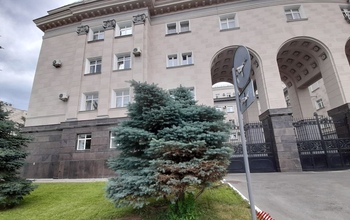 Голубые ели у Дома Советов обойдутся бюджету в 2024 году в 2 млн рублей