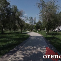 Оренбуржцам напомнили о том, как защитить детей от укусов клещей во время прогулок