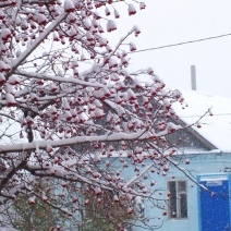 В первый рабочий день нового года температура в Оренбуржье опустится до -30