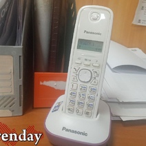 Некоторые оренбуржцы получили «подарок» от «Ростелекома» в виде отключенных домашних телефонов