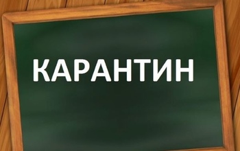 С понедельника, 3 февраля, все школы Оренбурга закрывают на карантин