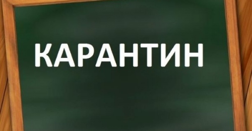 В Новотроицке и на территории Бузулукском бору ввели карантин по бешенству животных