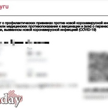 Сертификаты о перенесенном COVID-19 будут выдавать по уровню антител