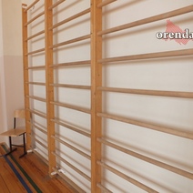 В Оренбуржье школьник разбил дорогостоящий медаппарат одноклассницы