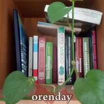 Школьники при потере или порче учебника не должны его покупать в библиотеку