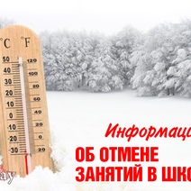 В некоторых школах Оренбуржья рекомендовано и для второй смены отменить очные занятия из-за мороза
