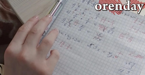 Не роскошь, а необходимость: почему оренбургским школьникам лучше с репетиторами, чем без них