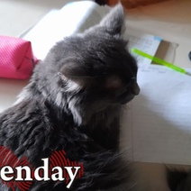 В Оренбурге на 11 дней приостановлены занятия в школах и кружках