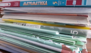 Александр Бастрыкин затребовал доклад по делу о школах в Дзержинском районе Оренбурга