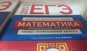 Старт дан - оренбургские выпускники сдают первые экзамены