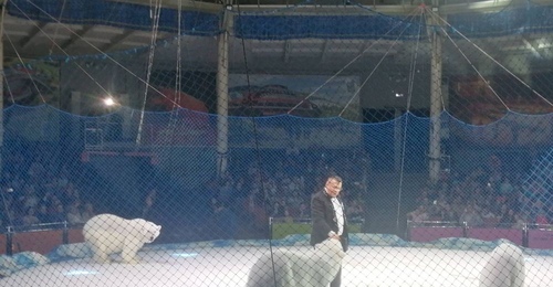 Реконструкция Оренбургского цирка вновь откладывается