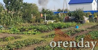 В Орске мужчина из ревности проломил голову молотком сожительнице и соседу по даче (18+)