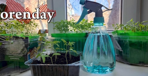 В Новоорском районе семилетняя девочка отравилась раствором для подкормки растений