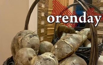 Пятеро жителей Оренбургской области отравились грибами