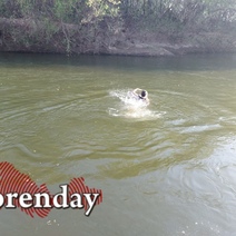 Оренбуржец нырнул в Урал, а вытаскивали его очевидцы и спасатели