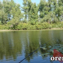 В выходные в Оренбурге будет жарко