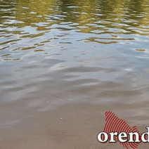 Оренбуржцев насторожило, что вода в Сорочинском водохранилище изменила цвет