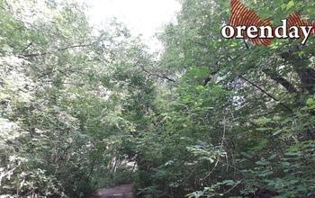 Оренбуржцы всё ещё находятся под угрозой атаки клещей