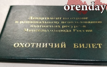 В Оренбуржье с начала года выявили более 250 нарушений правил охоты