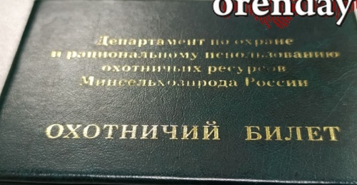 В Оренбуржье с начала года выявили более 250 нарушений правил охоты