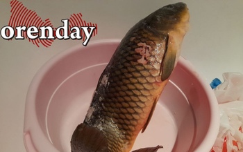 Какие нововведения в законодательстве ждут нас с 1 февраля