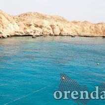 Туристы из Оренбурга отсудили 170 000 рублей после несостоявшегося отдыха в ОАЭ