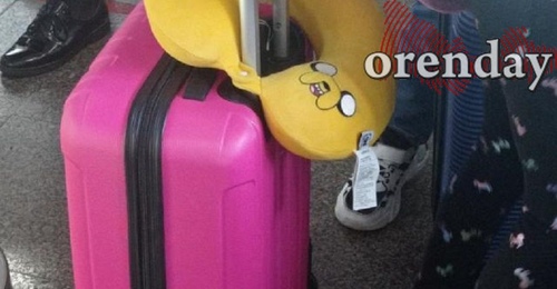 Попытка купить тур во Вьетнам обернулась для орчанки потерей денег