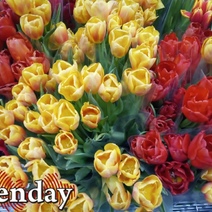 Правительство Оренбургской области закупает цветы и букеты на 550 000 рублей