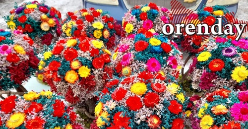 Цветы для оренбурженки обошлись ей в полмиллиона рублей