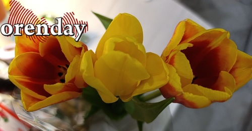 8 Марта в Оренбурге: больше, чем просто день цветов. Вспоминаем истинный смысл праздника