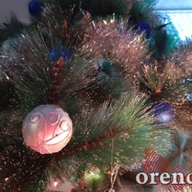 Жителей посёлка Ростоши, похоже, оставили без ёлки  