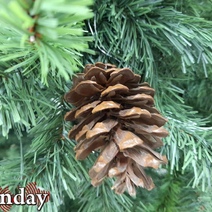 Жительницу Оренбуржья простила свекровь после избиения в новогоднюю ночь