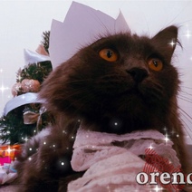 По ходу год будет урожайным: о чем говорят приметы на Старый Новый год