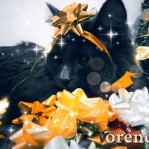 В Оренбурге еще одна женщина лишилась денег при покупке ёлки