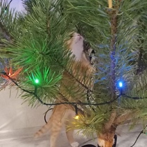 В Оренбурге от электрогирлянды ребенок получил ожоги рук