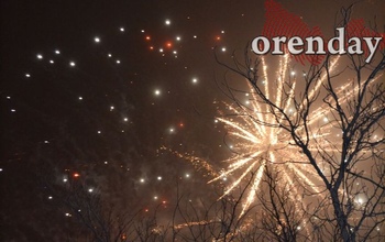 В Орске мужчина запустил фейерверк прямо на детской качели